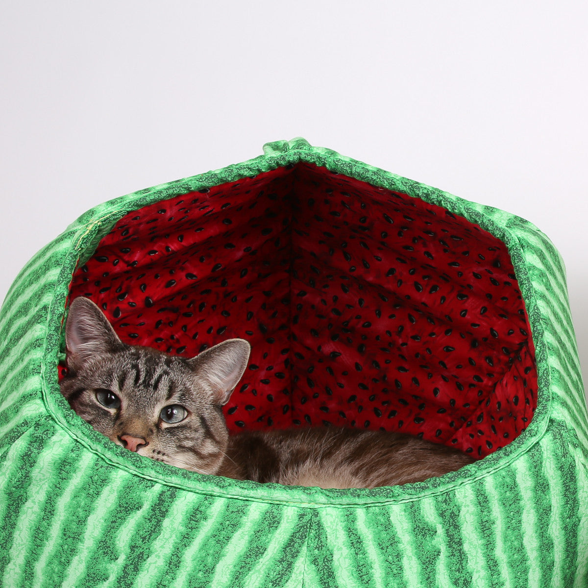 Cat top ball bed