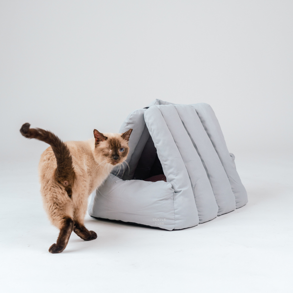 Gentle Purr Puff Lounger | 2-in-1 Bed