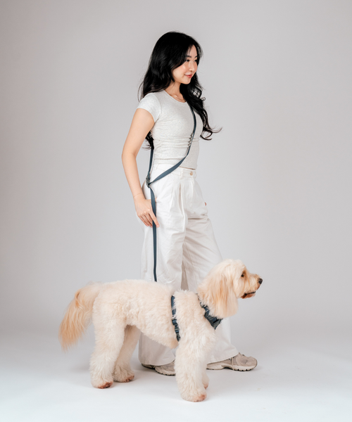 Gentle Pup Hands-free Leash - Ash