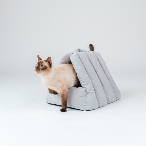 Gentle Purr Puff Lounger | 2-in-1 Bed