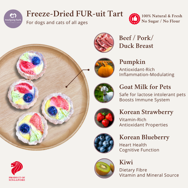 Woofgang Bark Freeze Dried FUR-uit Tarts (Set of 2)