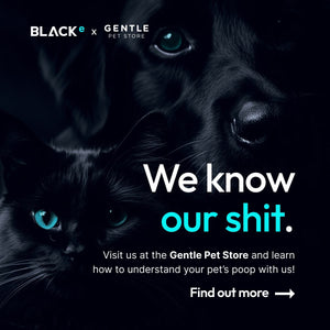 RSVP Black Eco x Gentle Pet Store Workshop