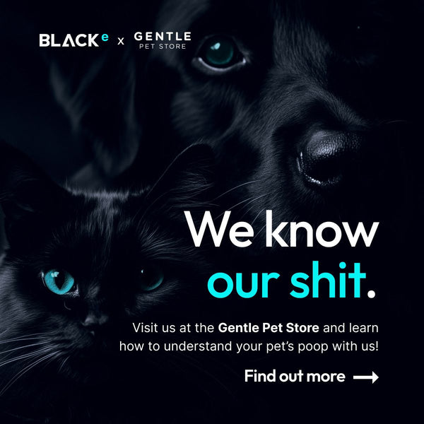 RSVP Black Eco x Gentle Pet Store Workshop