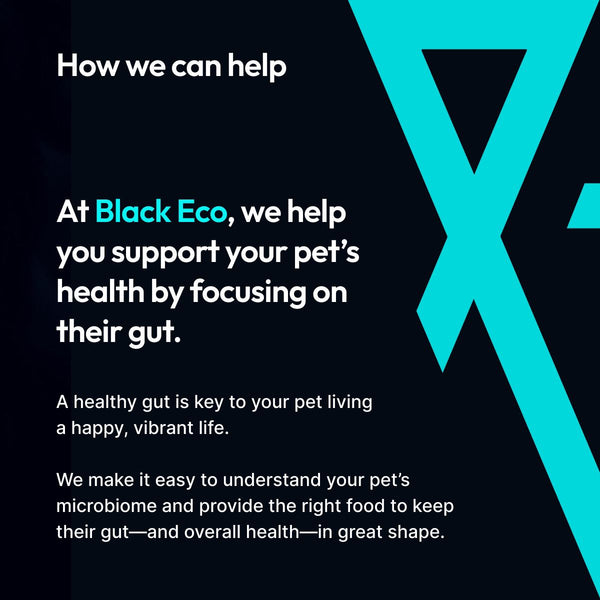 RSVP Black Eco x Gentle Pet Store Workshop