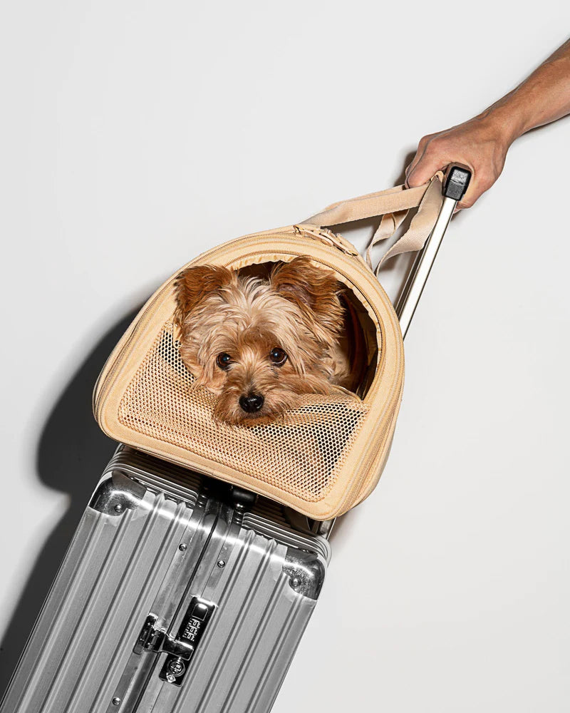 Wild one dog carrier new arrivals