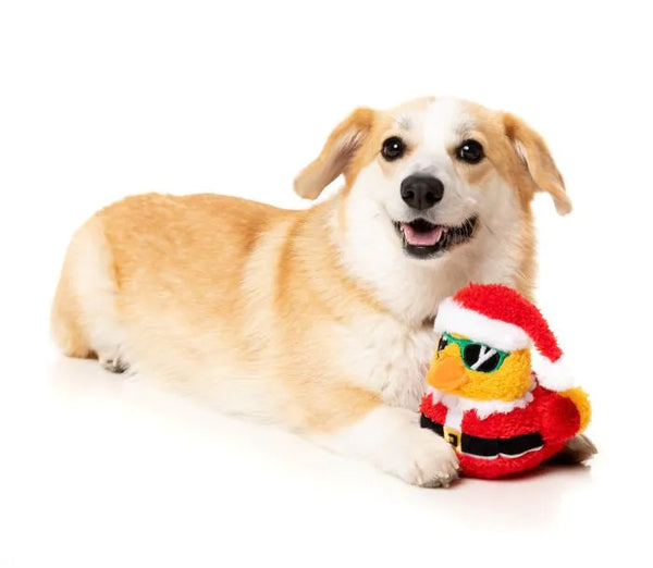 Fuzzyard Dog Toy | Christmas Quacker