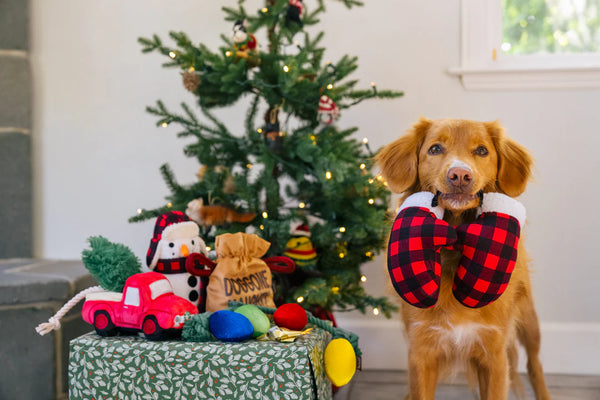 P.L.A.Y. Home for the Holidays Interactive Dog Toys