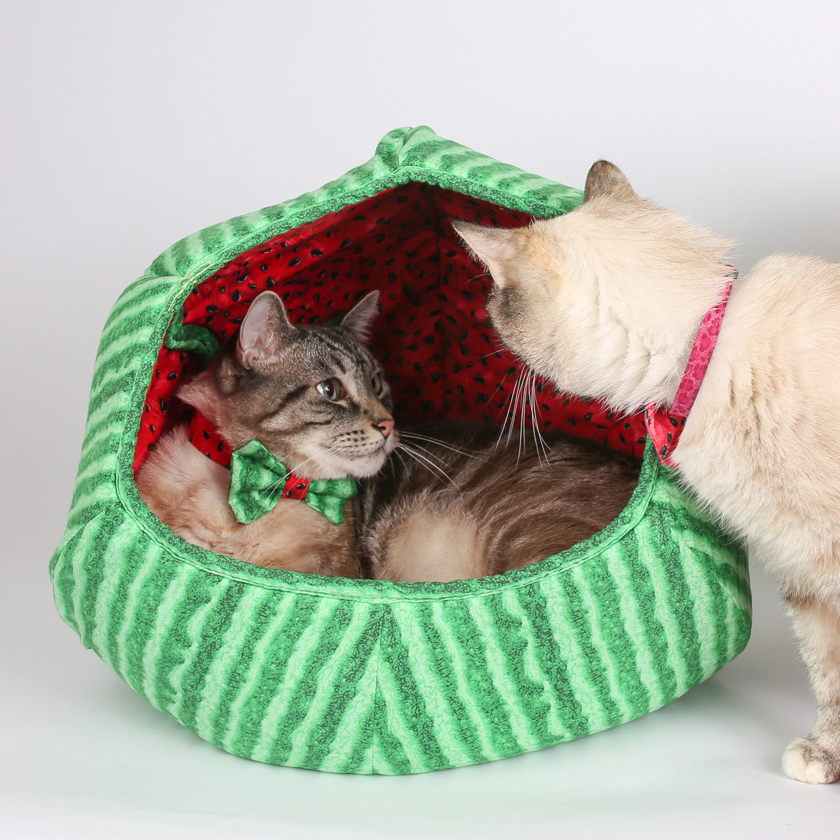 Watermelon cat bed sales