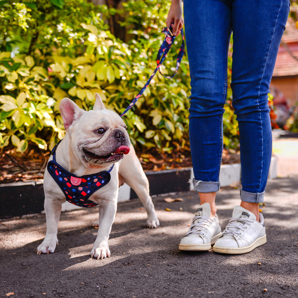 Gentle Pup Easy Harness - Playful Polly